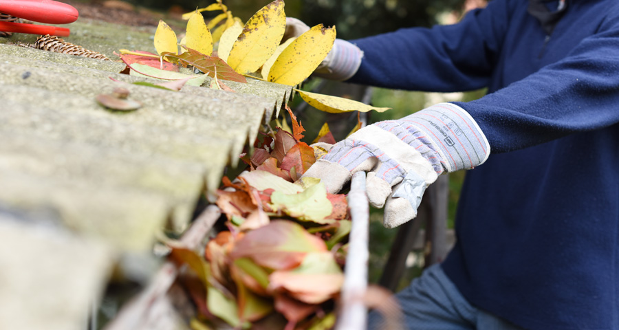 Keep rain gutters clean to protect your roof.